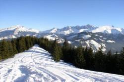 PARZENICA пансионат 07